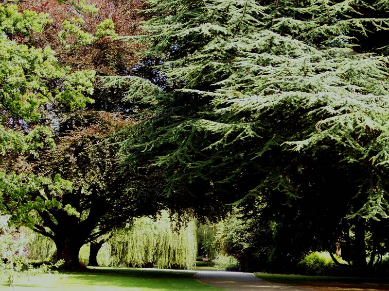 2006_02_024NewZealand018