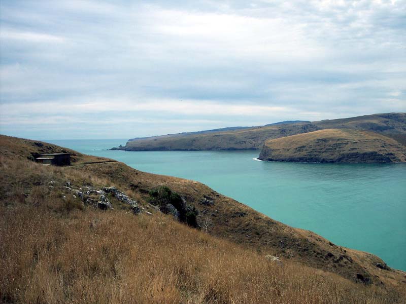 2006_02_024NewZealand038