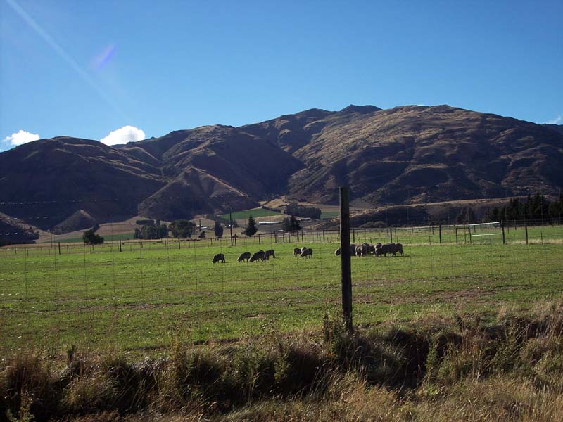 2006_02_024NewZealand166