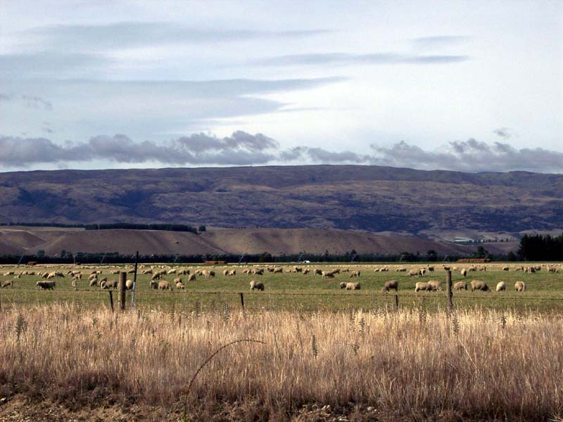 2006_02_024NewZealand171