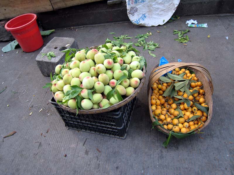 2007_05_19_Cruise Yangtze 039