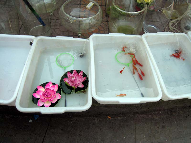 2007_05_19_Cruise Yangtze 043