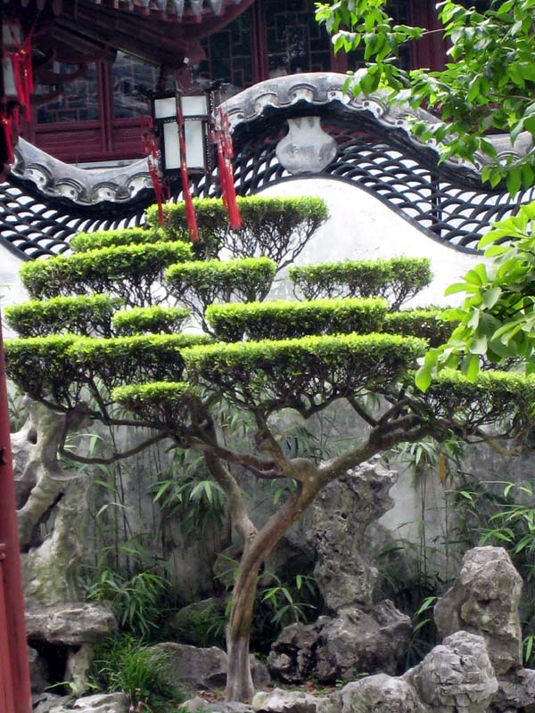 2007_05_22_Shanghai 035