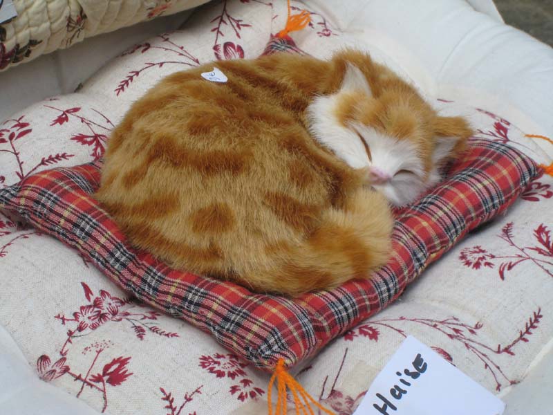 2008_06_01_Provence & Spain 1600